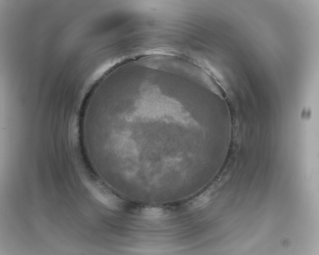 X0000095110298200712071223