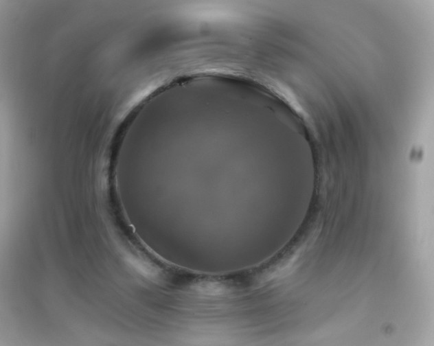 X0000095110299200712071223