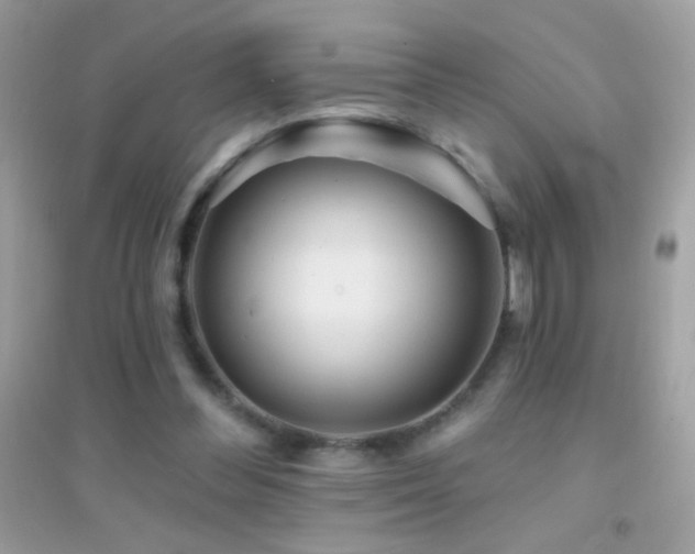 X0000095110300200712071223