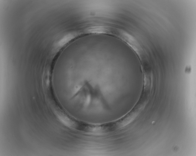 X0000095110301200712071223