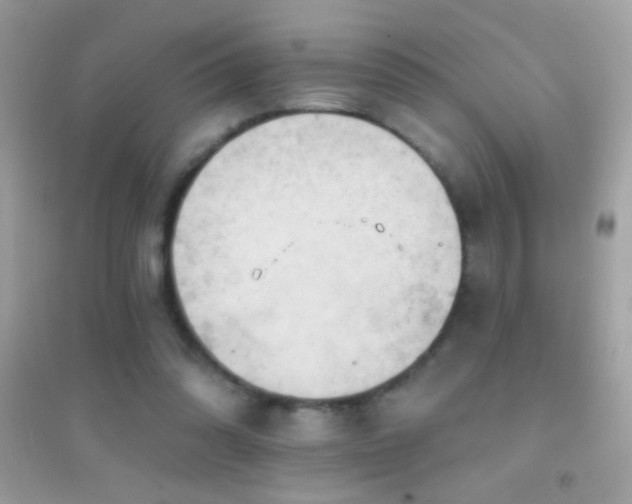 X0000095110302200712071223