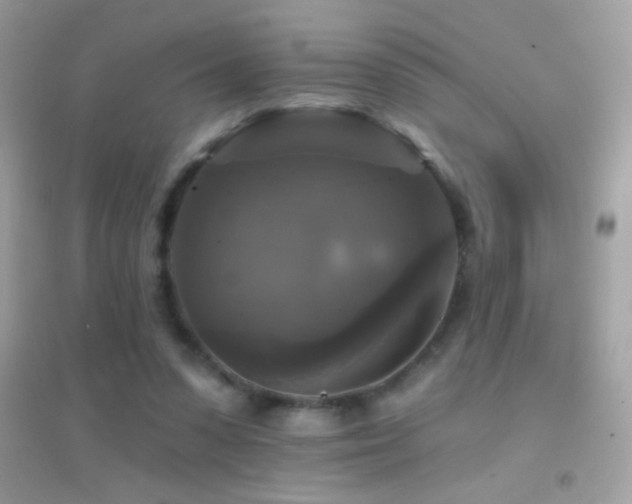 X0000095110303200712071223