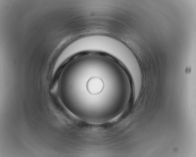 X0000095110304200712071223