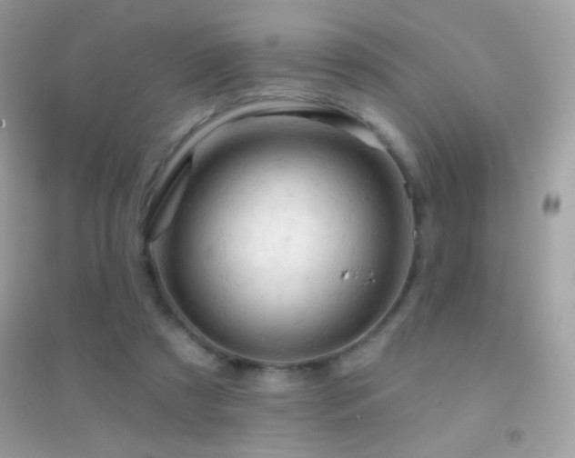 X0000095110305200712071223