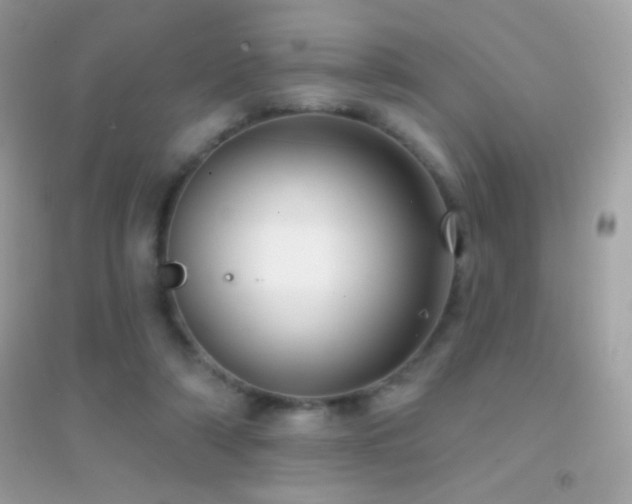 X0000095110306200712071223