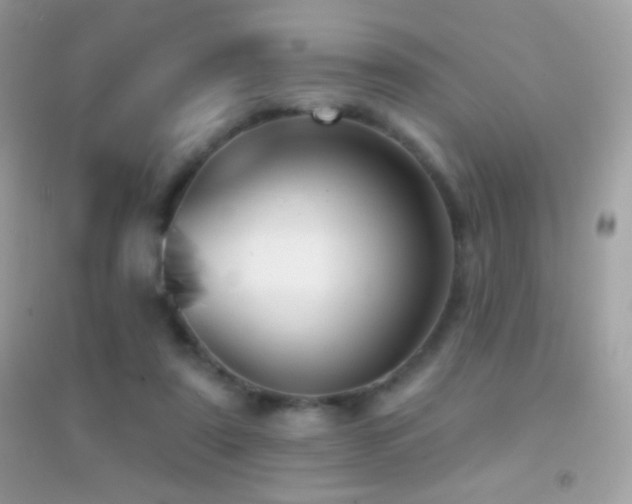 X0000095110307200712071223