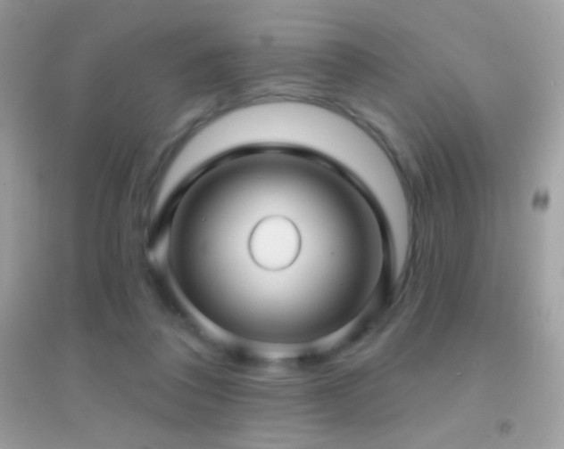 X0000095110308200712071223