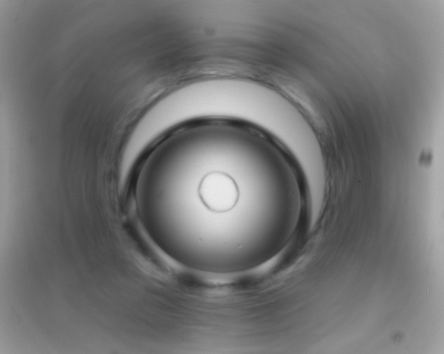 X0000095110309200712071223