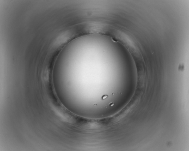 X0000095110310200712071223