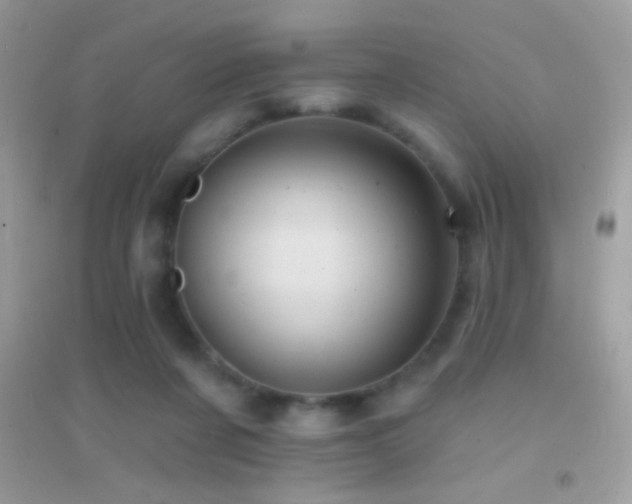 X0000095110311200712071223