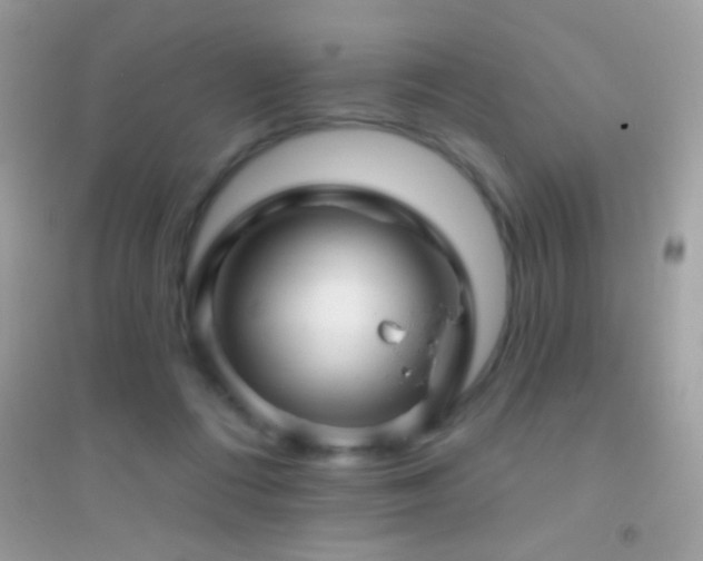 X0000095110312200712071223