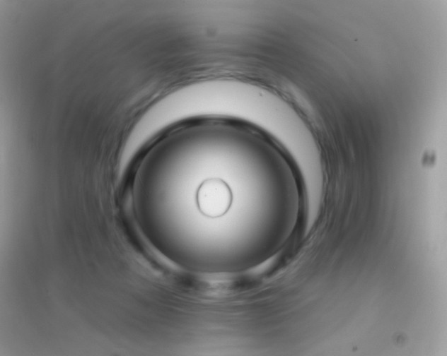 X0000095110313200712071223