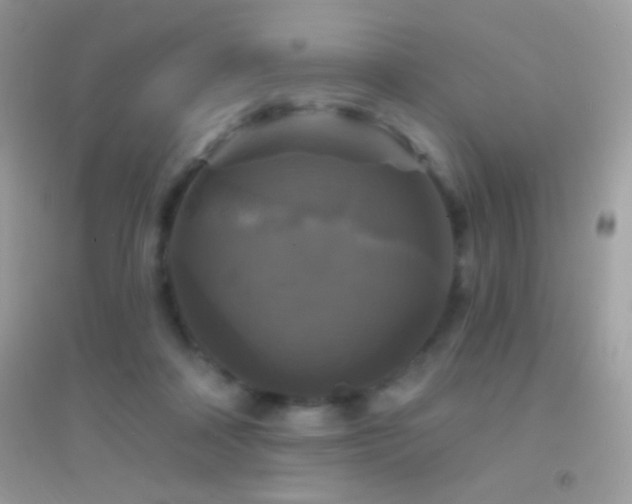 X0000095110314200712071223