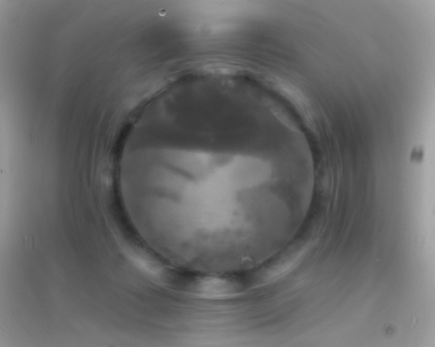 X0000095110315200712071223