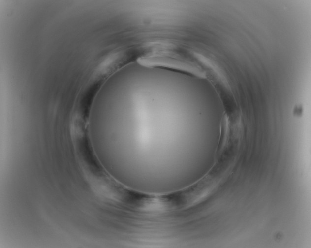 X0000095110316200712071223