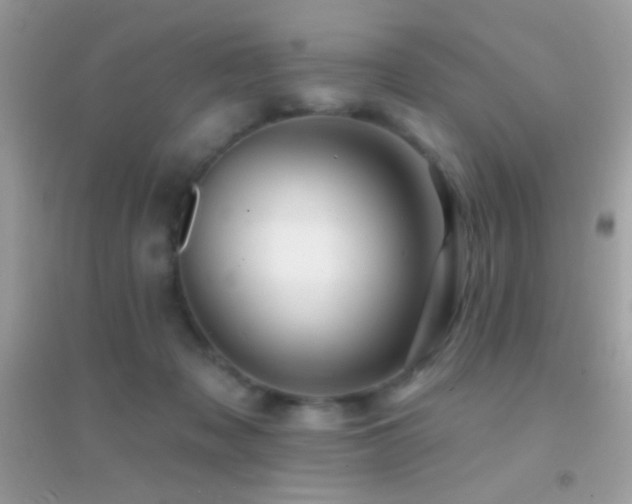 X0000095110317200712071223