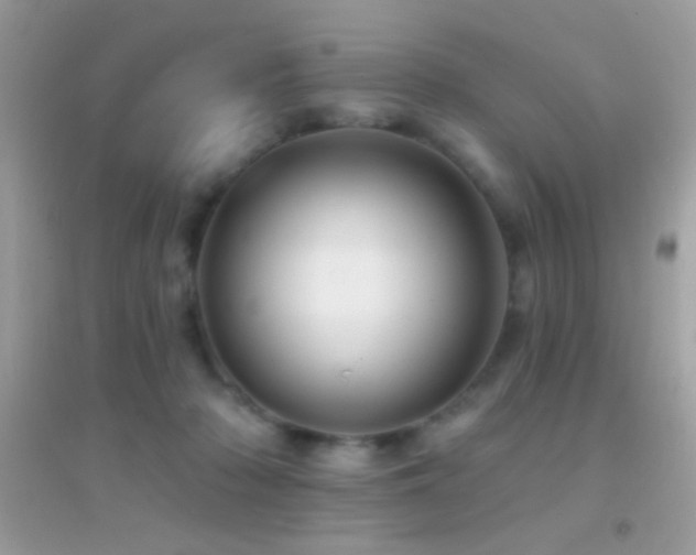 X0000095110318200712071223