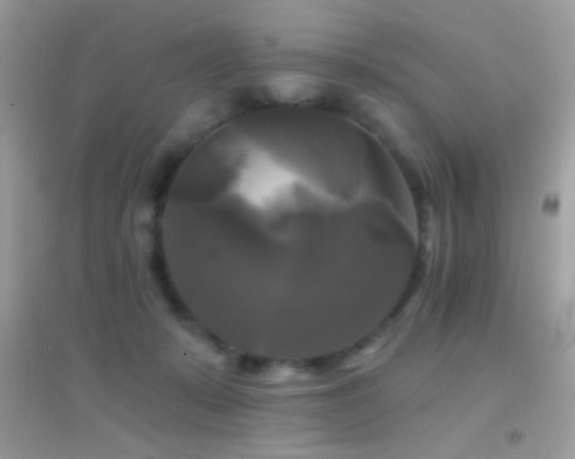 X0000095110319200712071223