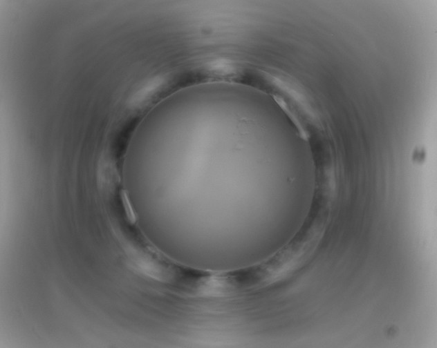 X0000095110320200712071223