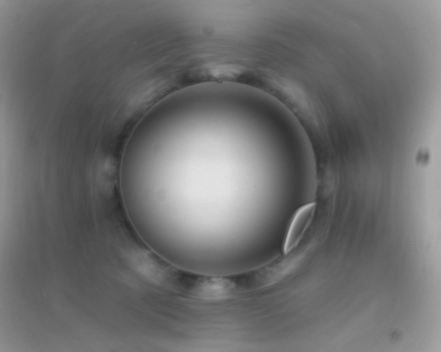 X0000095110321200712071223