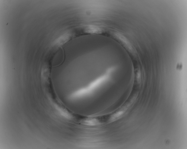 X0000095110322200712071223