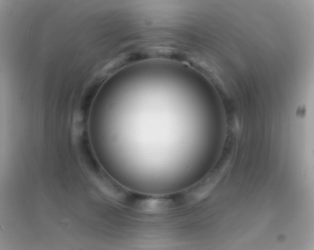 X0000095110323200712071223