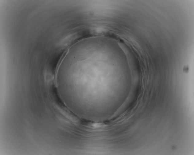 X0000095110324200712071223