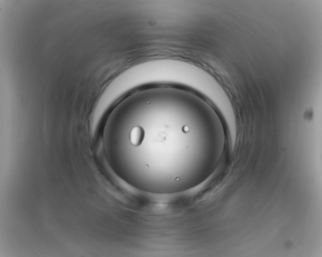 X0000095110325200712071223