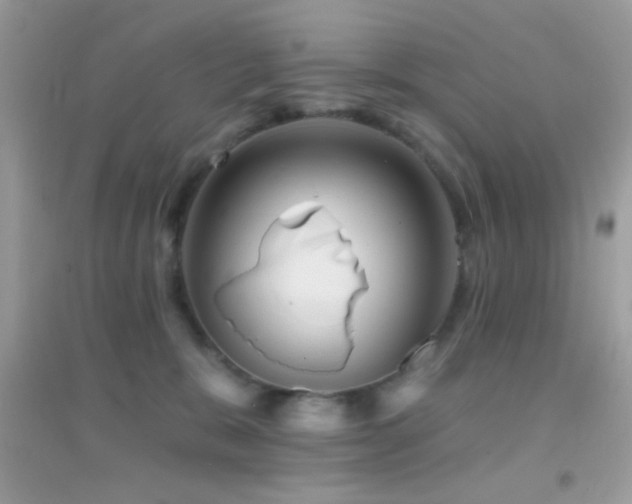 X0000095110327200712071223