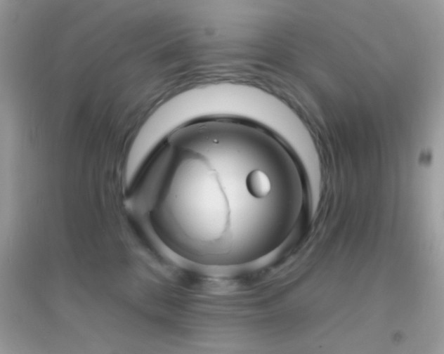 X0000095110328200712071223