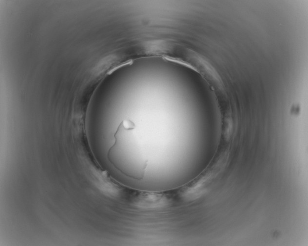 X0000095110329200712071223