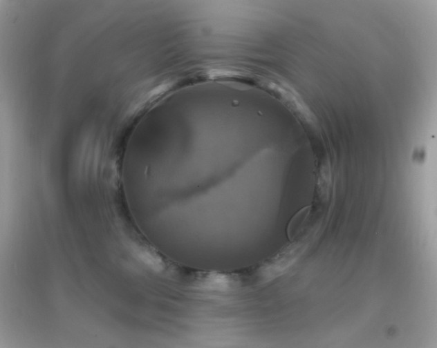 X0000095110330200712071223