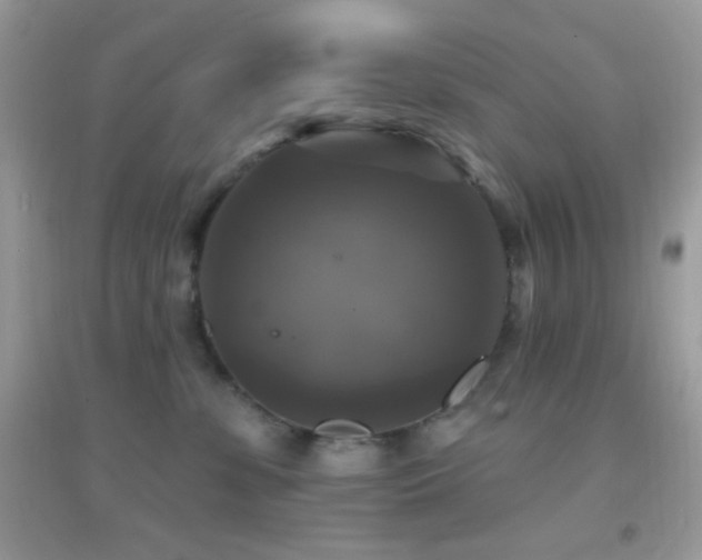 X0000095110331200712071223