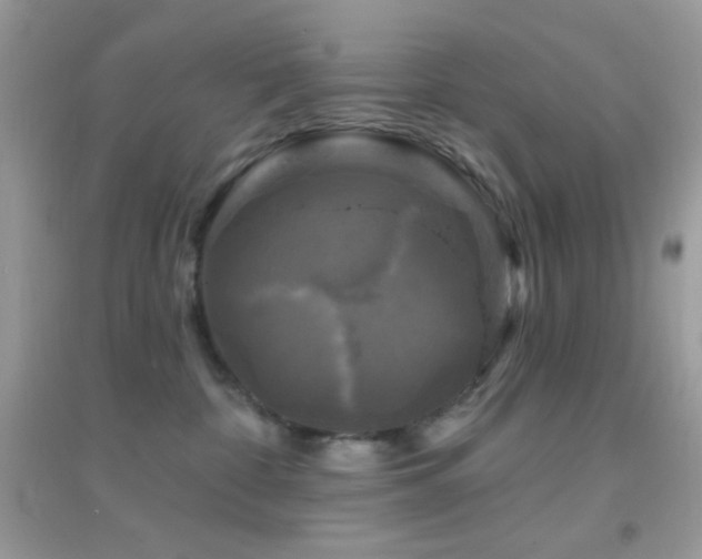 X0000095110332200712071223