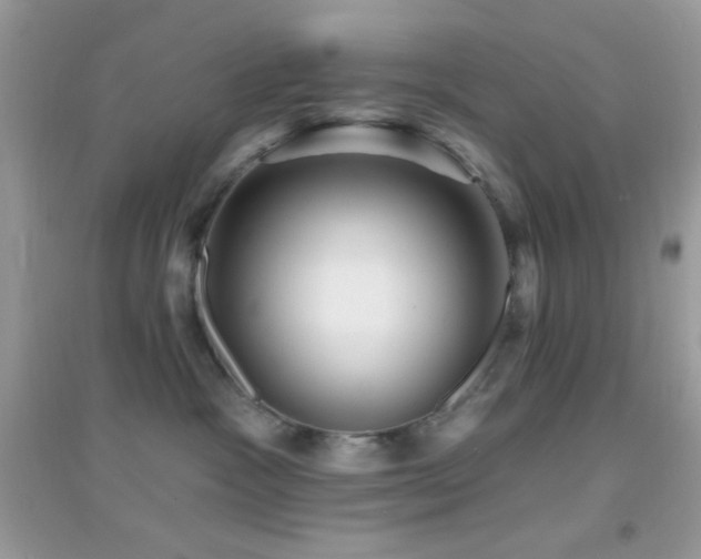 X0000095110333200712071223