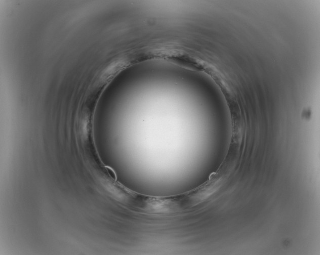 X0000095110334200712071223