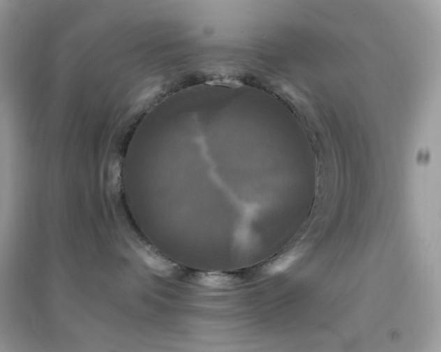 X0000095110336200712071223