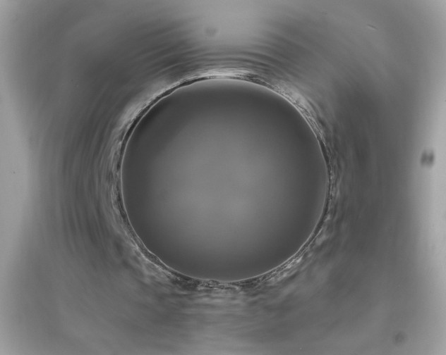 X0000095110337200712071222