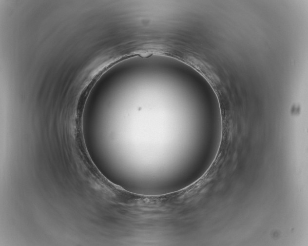 X0000095110338200712071222