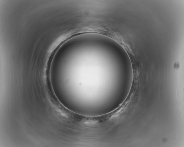 X0000095110340200712071222