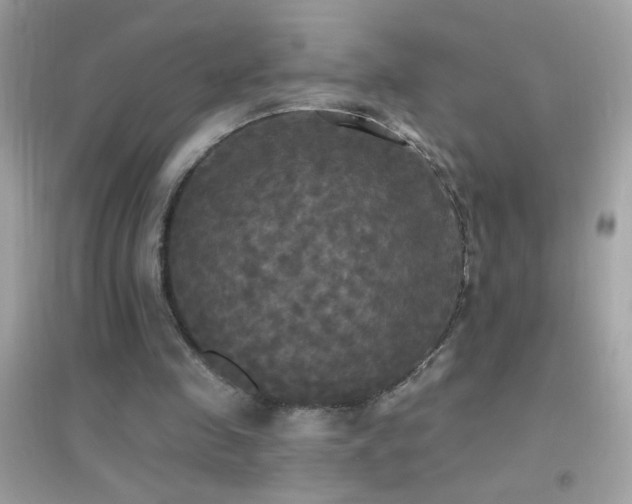 X0000095110341200712071222