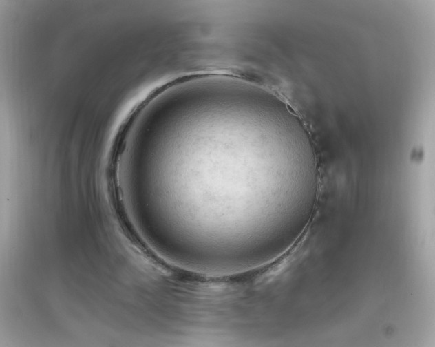 X0000095110342200712071222