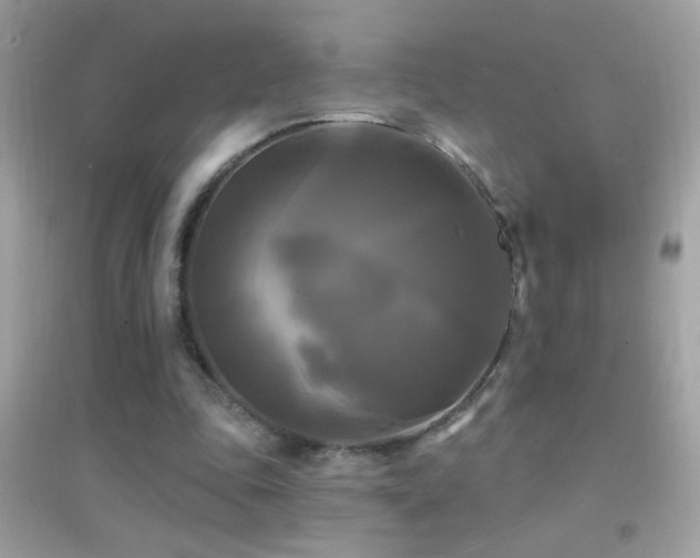 X0000095110343200712071222