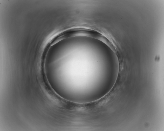 X0000095110344200712071222