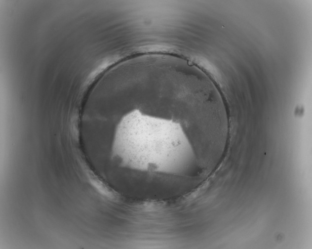 X0000095110345200712071222