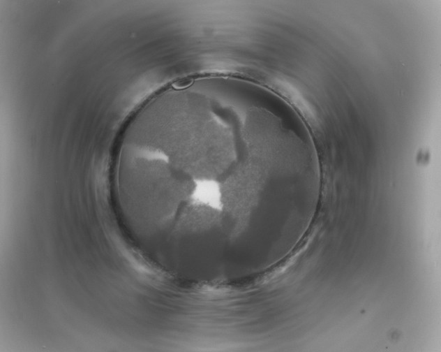 X0000095110346200712071222