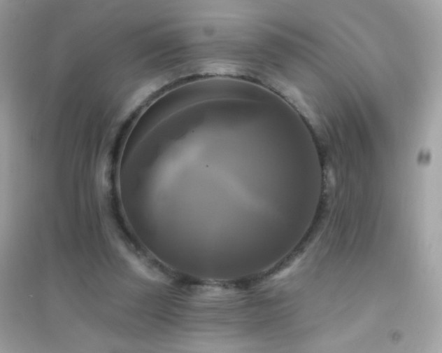 X0000095110347200712071222