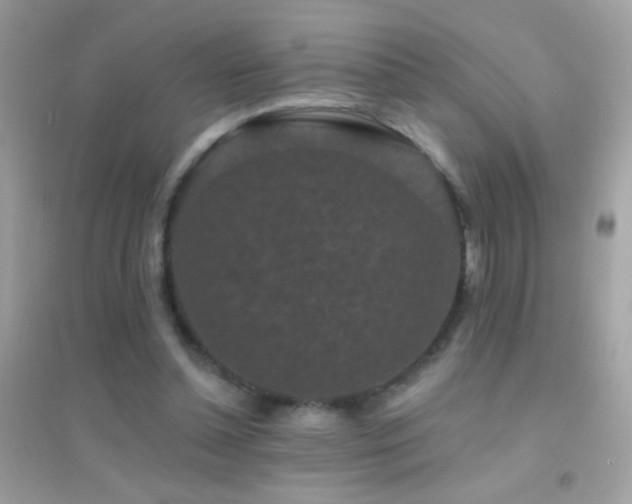 X0000095110348200712071222