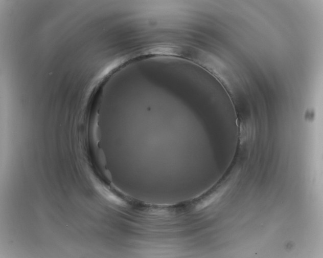 X0000095110349200712071222