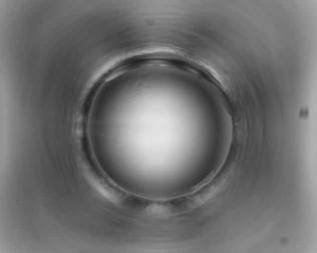 X0000095110350200712071222